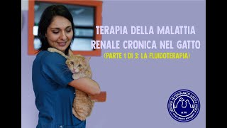 118  TERAPIA DELLA MALATTIA RENALE CRONICA NEL GATTO (parte 1 di 3: la fluidoterapia)