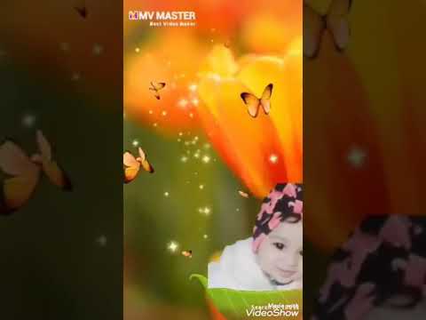 سجده محمد سلامه احله هديه من الله يارب خليها