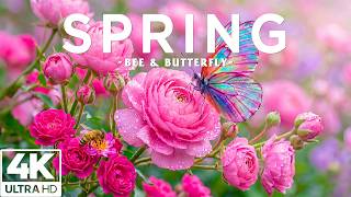 Springtime Splendor 4K | Gentle Bees & Blooming Flower Paths 🌸 A Quiet Spring Awakening screenshot 2