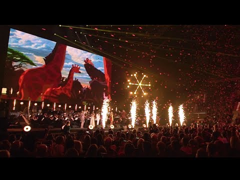 12. FMF | Koncert Disneya: Magia muzyki | Reportaż