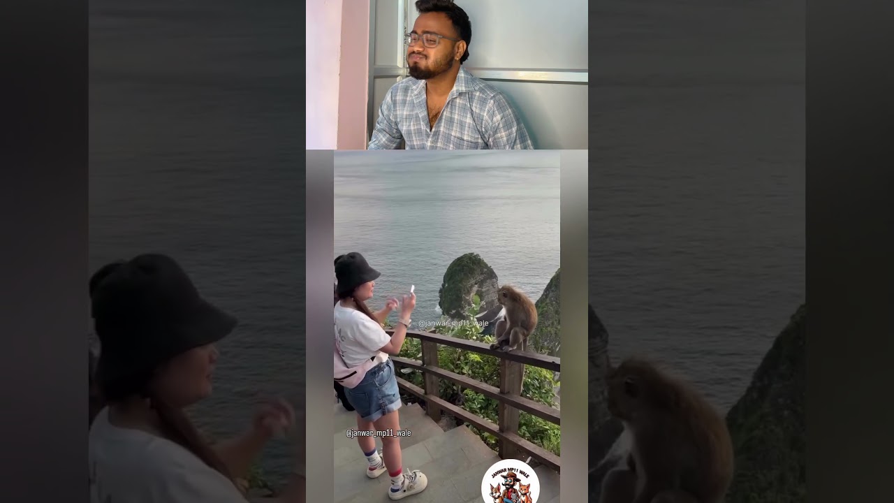 O madam🤣#reelsviral#memereels#voiceoverreels#cuteanimals#laughingreels#comedyindia#shortsfeed#viral