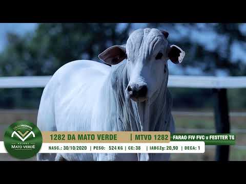 LOTE 49   MTVD 1282