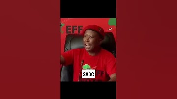 SADC countries should not have borders. One country no borders