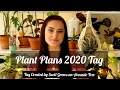 PLANT PLANS 2020 Tag| What I Have Planned for 2020| Plans for My Houseplant Collection
