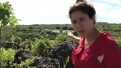Nauru crisis Jeannette Francis reports
