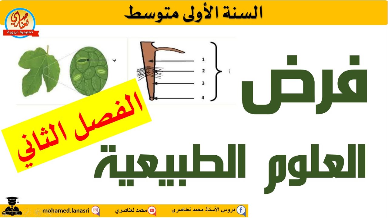فرض العلوم الطبيعية للسنة الأولى متوسط الفصل الثاني