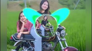 Joget Viral Tik Tok ‼️ Boro Boro 2023  Veldy Odhe Rmxr ✨