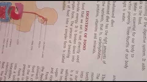 Class 4th Ch   1 Food and digestion part   2