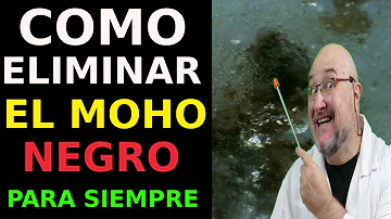 ¿Cómo elimino el moho negro de los conductos de ventilación?