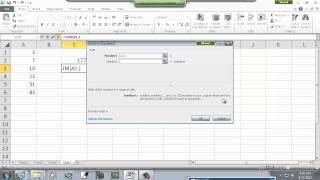 Celebrity Elementary Statistics Lab Using Excel - Excel 2010 - Excel Basics Net Worth
