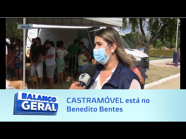 CASTRAMÓVEL está no Benedito Bentes para esterilizar cães e gatos