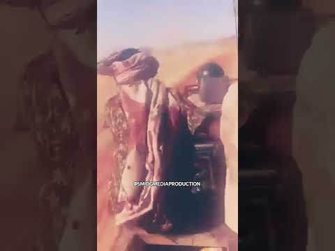 قوات جديدة تدخل النهود والمعارك تشتعل بضراوة في تخوم كردفان صرخات من الميدان كردفان الفاشر