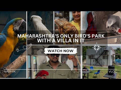 Maharashtra's only bird
