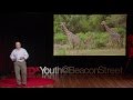 Saving Animals Saving The Future John Linehan TEDxYouth BeaconStreet