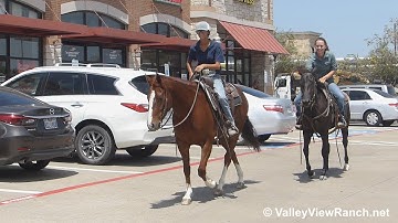 Peptos Stylin and Happy - riding in town! - ValleyViewRanch.net