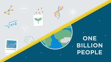 TotoGEO: The Content Divide