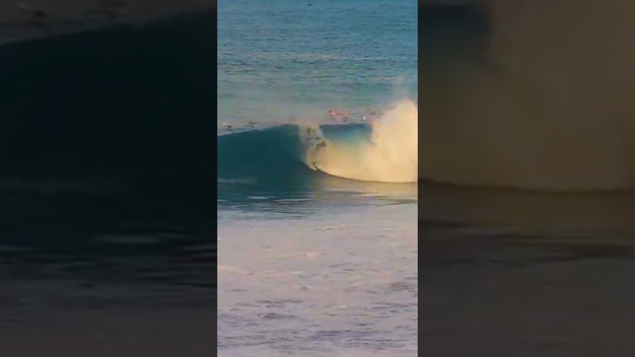 Clips