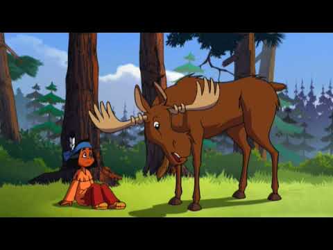 17 Якарі на острові