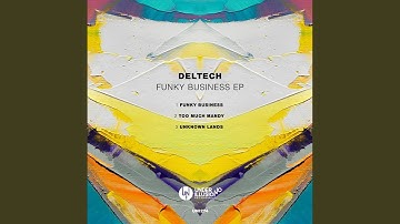 Funky Business (Original Mix)