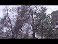 First Snowfall in Bishkek 16-11-2022 / Первый Снегопад в Бишкеке