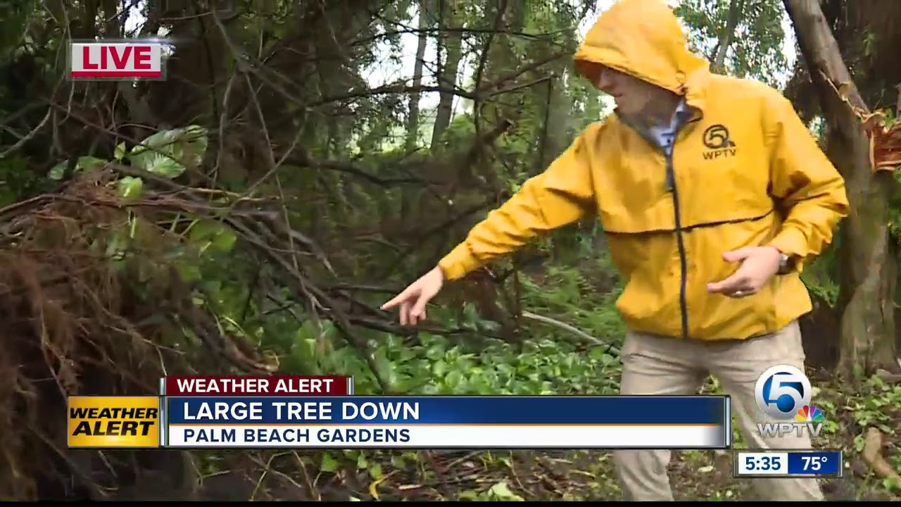 Storms Causing Damage In Palm Beach Gardens Youtube