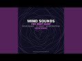 Wind Sounds