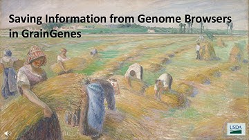Saving Information from GrainGenes Genome Browsers