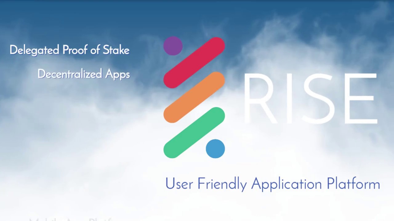 rise desktop wallet