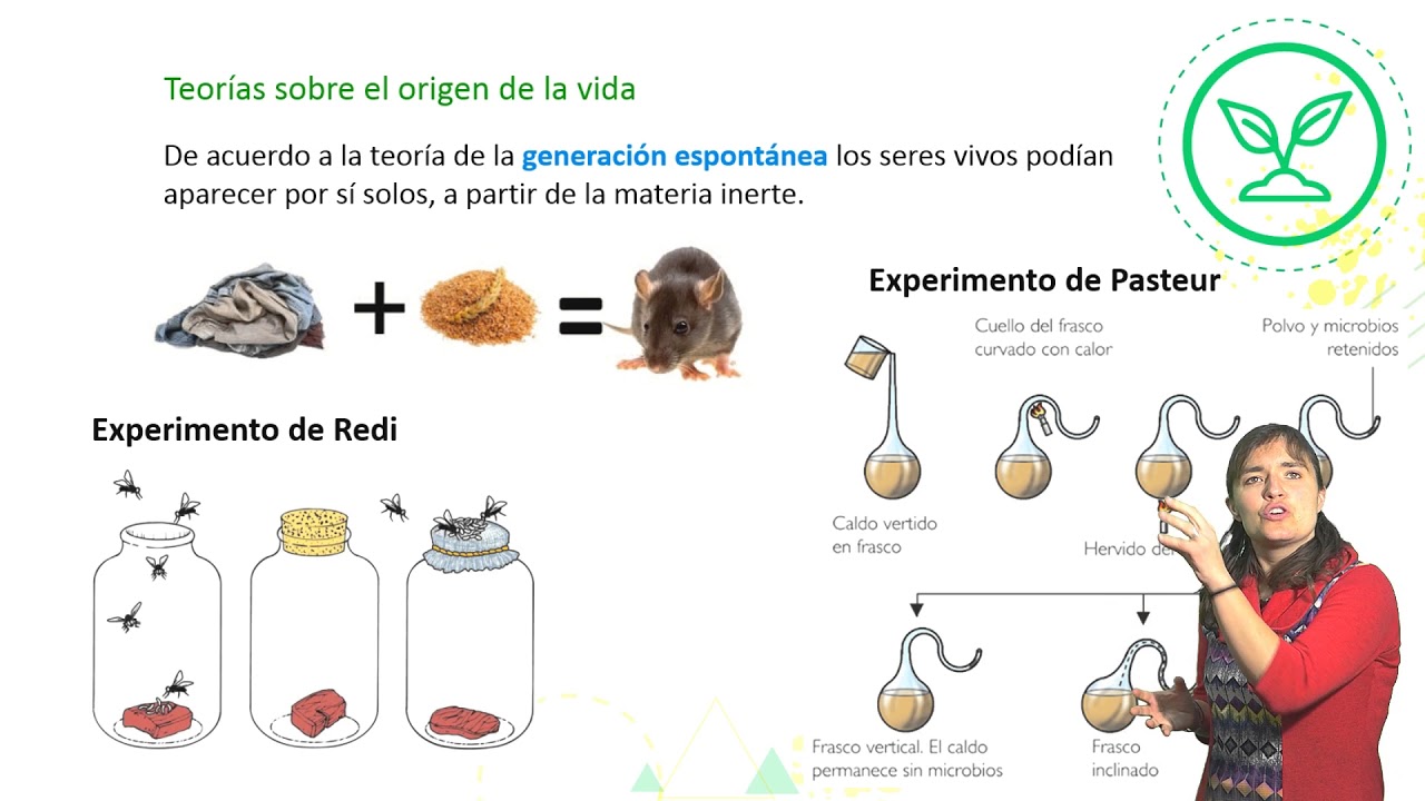 Origen de la ansiedad