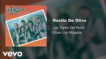 Los Tigres Del Norte - Rosita De Olivo (Audio)