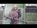 ЗООПАРК В МАРИУПОЛЕ Часть 2🦁 Веселый маленький медвежонок.Удовольствие медведей🐻little teddy bear