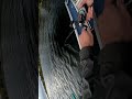 took me 3 buisness days to react #slowmotion #nature #musky