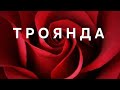 ТРОЯНДА Олена Дворецька Прем єра пісні слова В Дворецького 