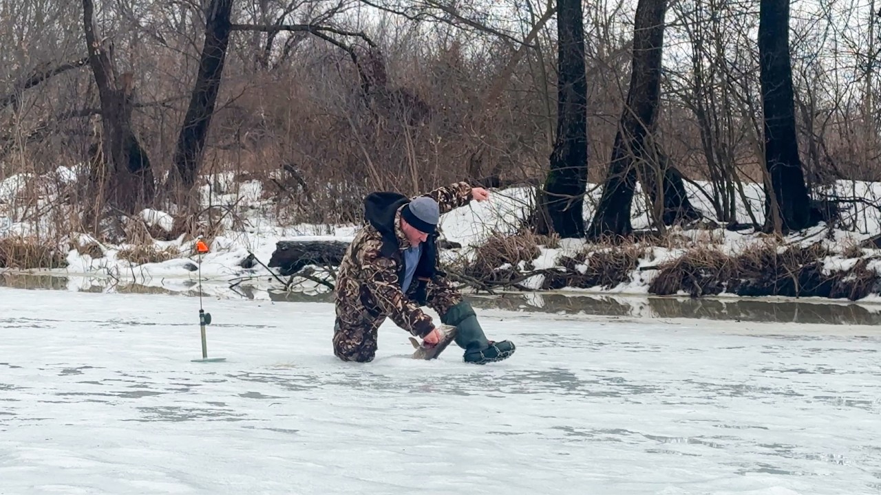 🐠🐟 ДОЖДАЛИСЬ УТРЕННИХ ПОКЛЕВОК! ВЫХОД ЩУКИ! ЖЕРЛИЦЫ НА РЕКЕ / СЕВЕРСКИЙ ДОНЕЦ 2026 🐠🐟