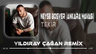 Tekir - Neyse Boşver (Yıldıray Çağan Remix)  Her Ne Yaşadıysam Geçmek Bilmiyor #tiktok