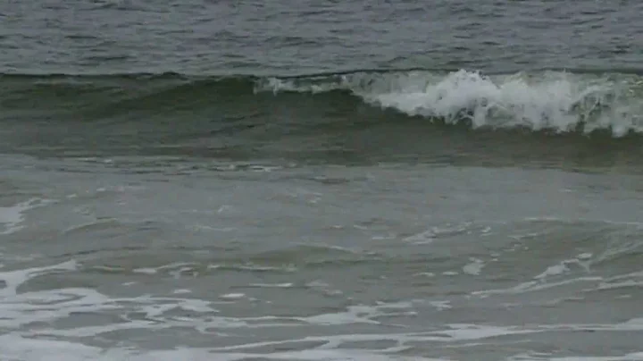 Love the Ocean