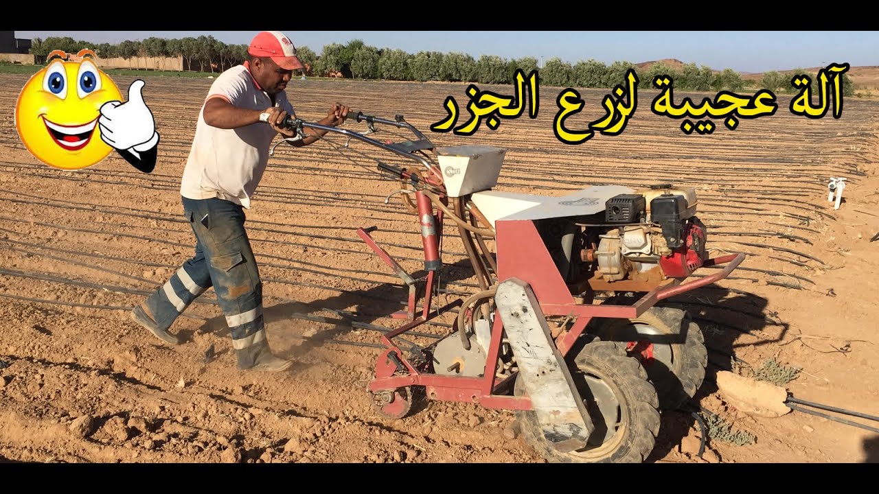 شاهد آلة عجيبة لزرع الجزر  بغليل امزدار نواحي تنغير الحمد لله على نعمة العلم