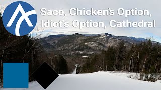 Attitash - Saco to Chicken's Option to Idiot's Option to Cathedral (Top to Bottom Run)