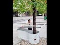 Turning a Tree Pit into a Premium White Coffee Table! #smartdesign #diy #creative