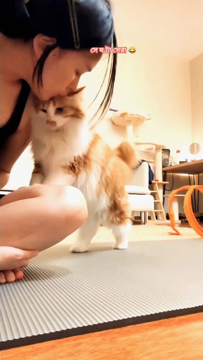 My cat's Transaction was totally unexpected e #shorts #cat #funny
