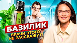 Базилик | ВРАЧИ ВАМ ЭТОГО НЕ РАССКАЖУТ! Невероятные Факты о Влиянии Базилика на Организм