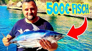 Ich habe einen 500€ Thunfisch gefangen und gegrillt --- Klaus grillt