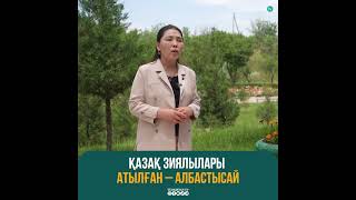 Қазақ зиялылары атылған – Албастысай