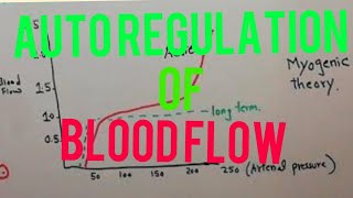 CVS physiology 100 | Autoregulation of blood flow | Metabolic theory | Myogenic theory