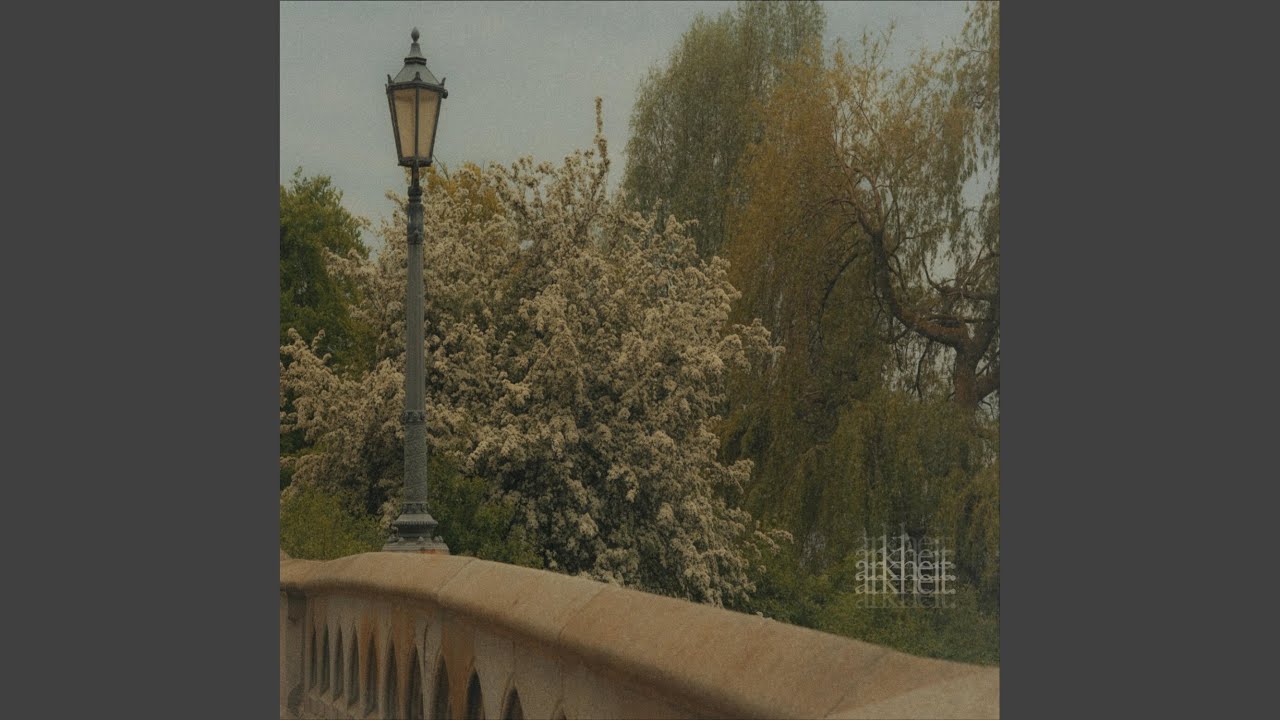 you, me & the forest