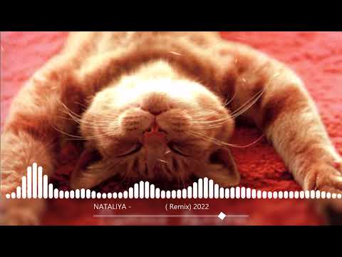 NATALIYA - Прольётся дождь ( Remix) 2022