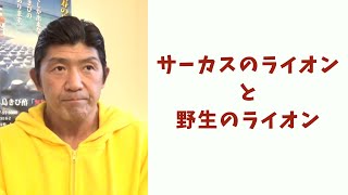 修斗の選手達をパンクラスの船木誠勝は当時どう思っていたか？