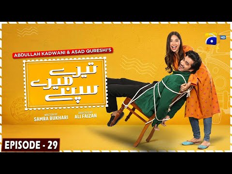 Tere Mere Sapnay Episode 29 - [Eng Sub] - Shahzad Sheikh - Sabeena Farooq 