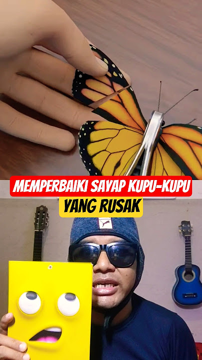 Finally the butterfly can fly. #butterfly #animals #insects #art #science #animallovers