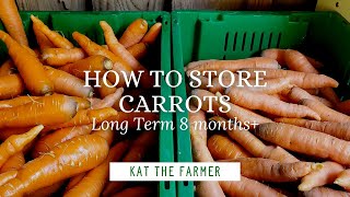 How To Store Carrots